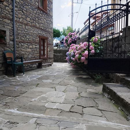 Hotel Arka Metsovo Exterior foto